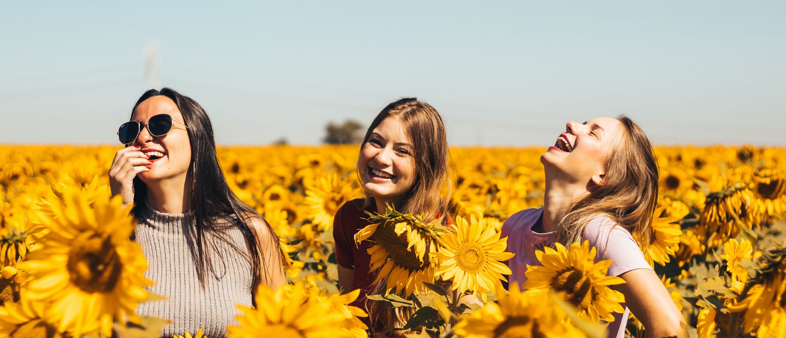 Trois amies qui rient dans un champ de tournesols